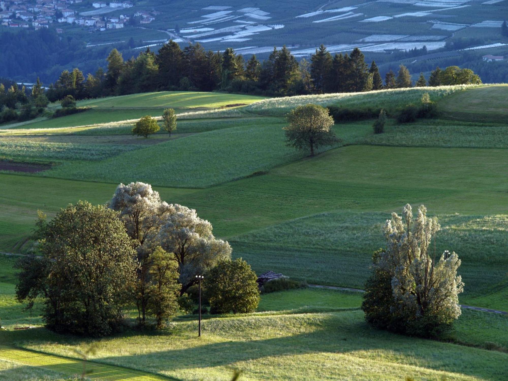 Casa Pradiei Dolomiti View Cavareno Dış mekan fotoğraf